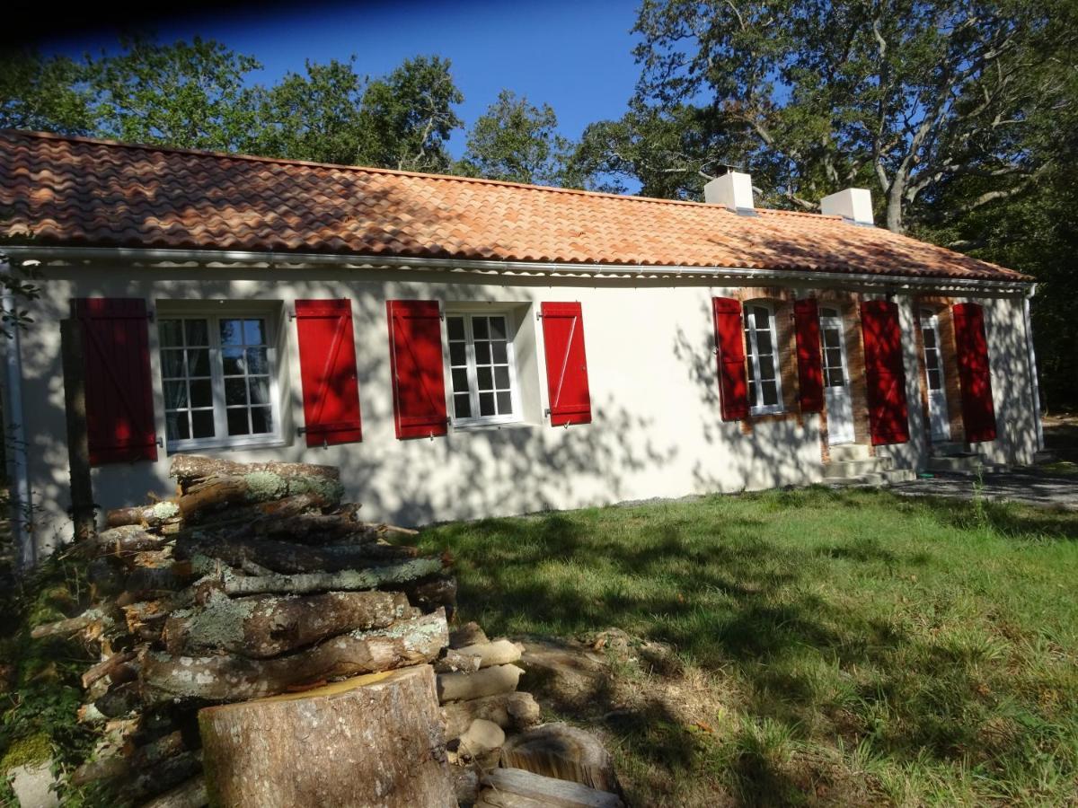 Renovation Proche Et *